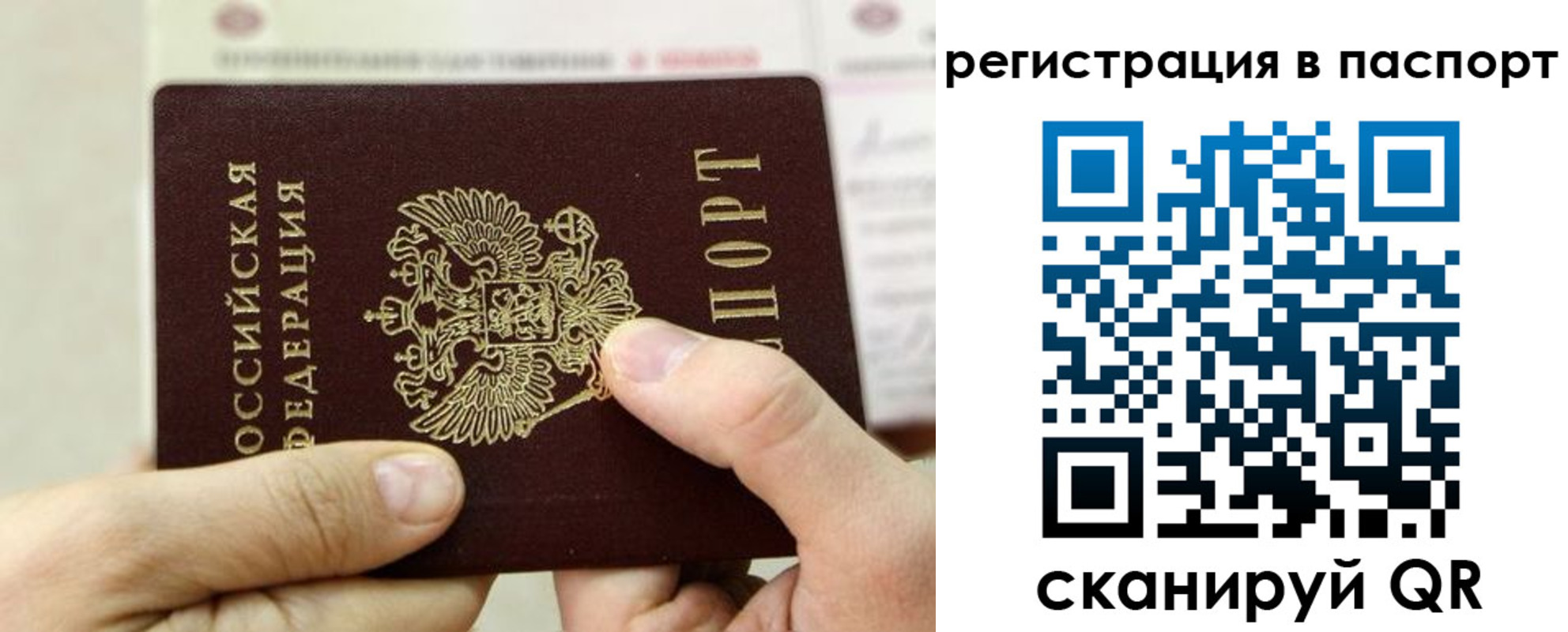 прописка 2025 в Ростове-на-Дону